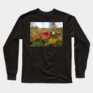 Toadstool Mushroom with dew drops - Christmas card Long Sleeve T-Shirt